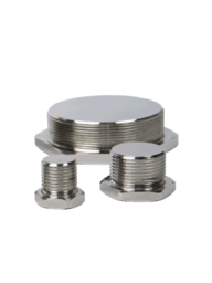 Blanking Plugs (ABSP)