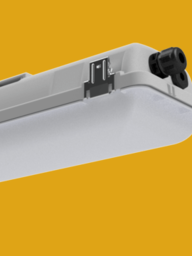 Zone 2 Linear LED